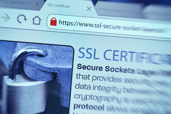 SSL certificate guide